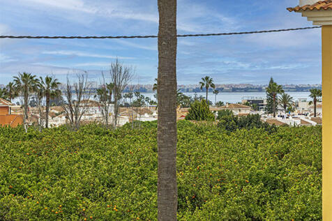 Bedroom View