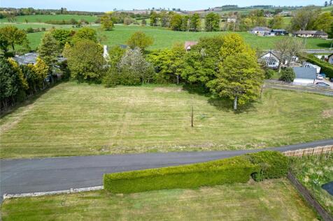 Paddock &amp; Driveway