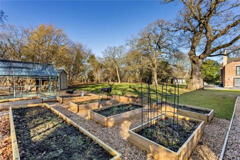 Vegetable Garden