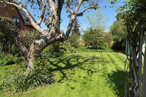 woodbine gdn 4