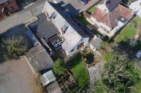 High view of garden