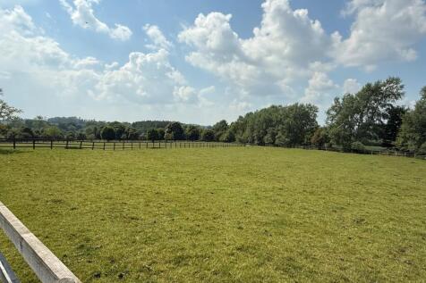 meadow view paddock 1
