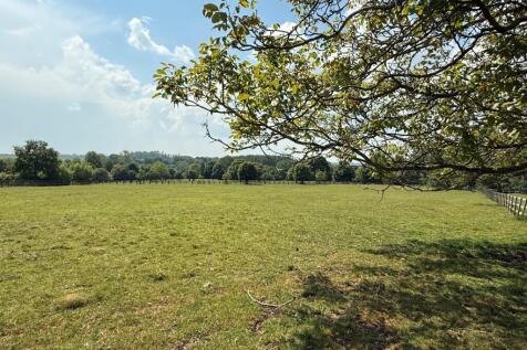 meadow view paddock 2
