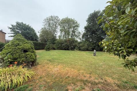Maple plot 3