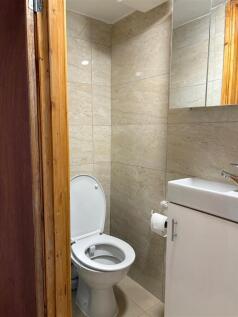 toilet seat.jpg