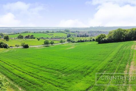 DJI_0305.jpg