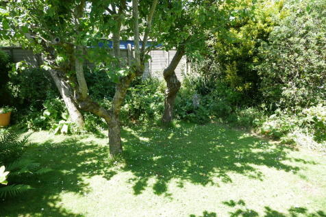 P1020411
