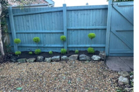 evening garden 2