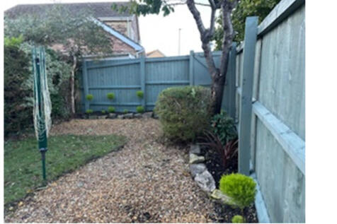 evening garden