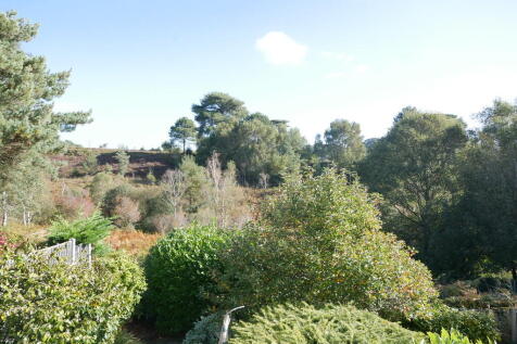 P1050138