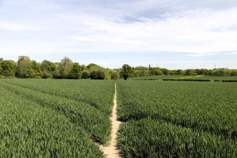 Country walk