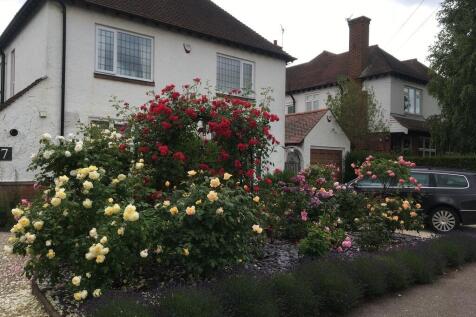 Property Image 28