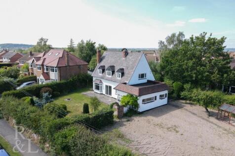 DJI_0231.jpg