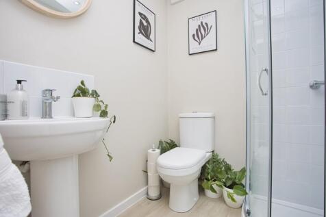 Picture 11
