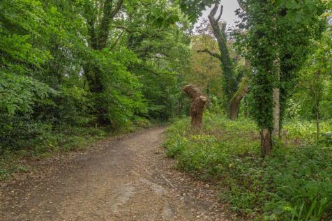 Property Image 29