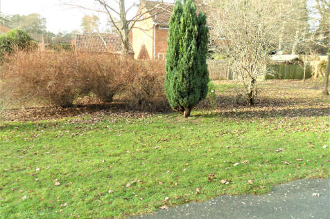 View from front door