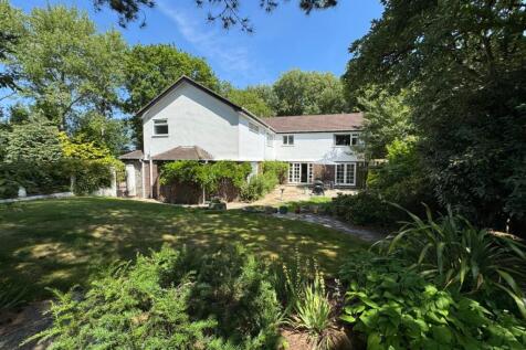 Property Image 44