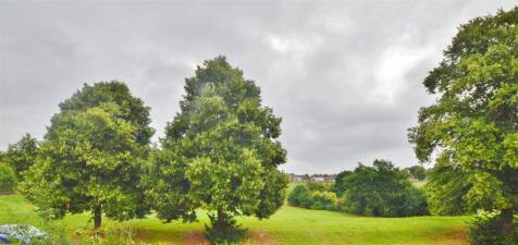 DSC_0981.JPG