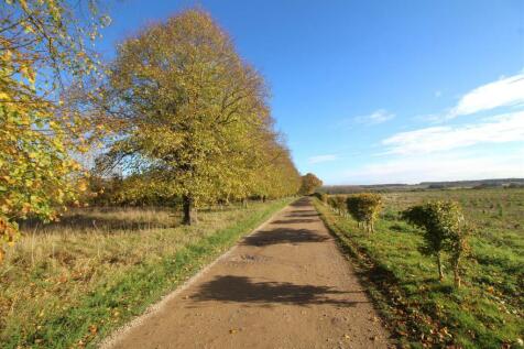 roadway 4.JPG