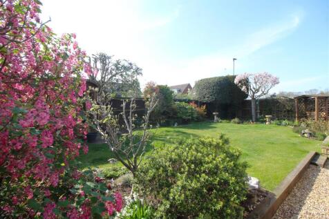 garden 1 .JPG
