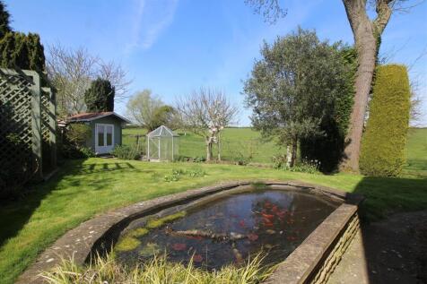 garden 2 .JPG