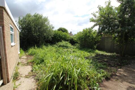 garden .JPG