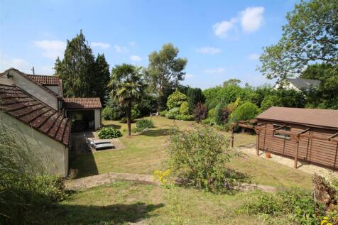 garden 3.JPG