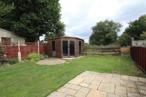 garden 3.JPG