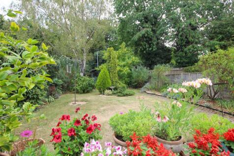 garden 2 .JPG