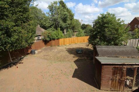 garden 3.JPG