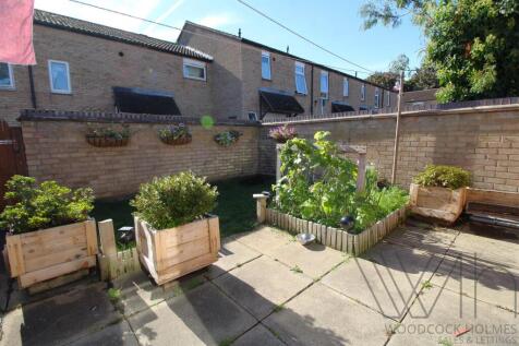 garden _1.JPG