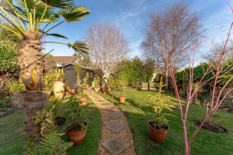 Garden 3.jpg