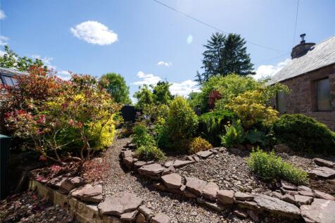 Rear Gardens