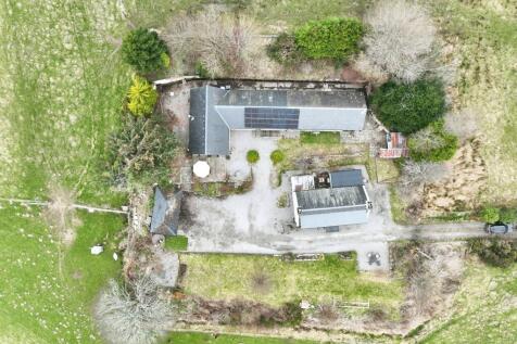 The Garden