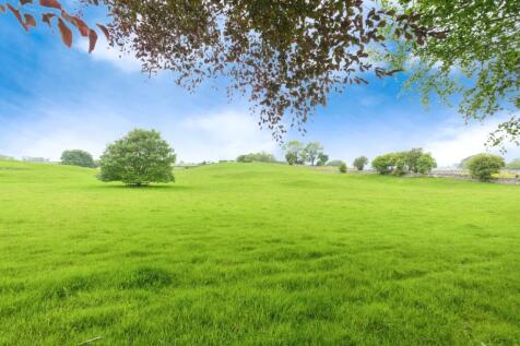 Field
