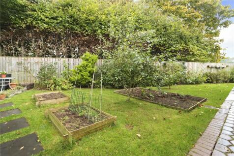 Garden Pic 1
