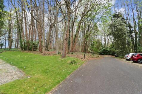 Grounds/Woodland