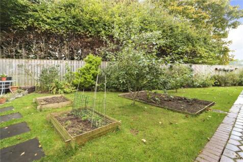 Garden Pic 1