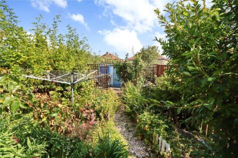 Garden Pic 3