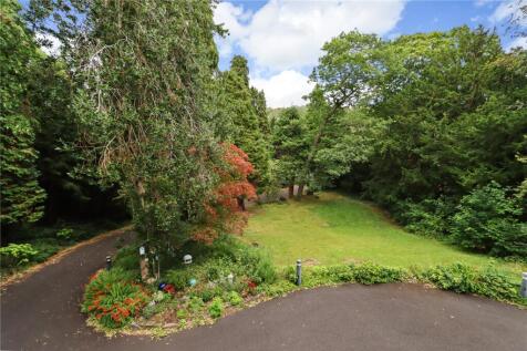 Communal Garden