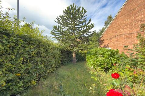 Side Garden