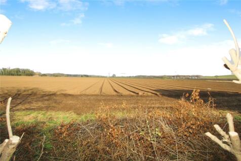 View Over Field