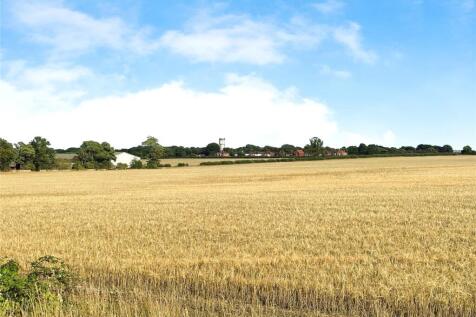 View Over Fields