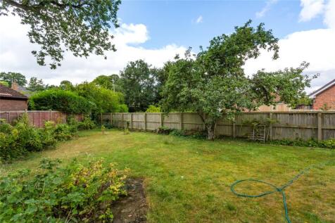 Photos