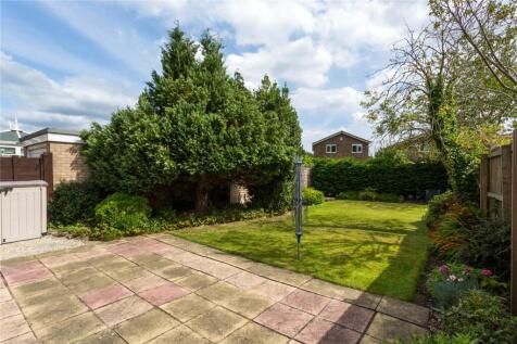 Photos