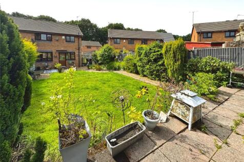 Back Garden