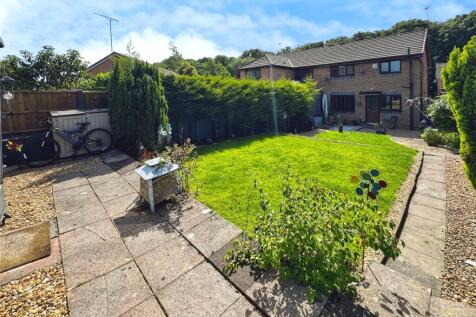 Back Garden