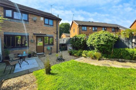 Back Garden