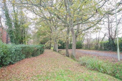 Overlooking Wooded Pathway