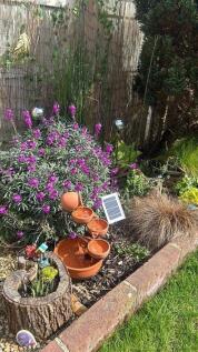 Martin Flower bed.jpg
